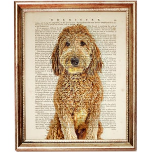 Goldendoodle Hund Wandkunst, Hundedruck, Recyceltes Wörterbuch, Goldendoodle Kunst, Goldendoodle Poster Buch Kunstwerk