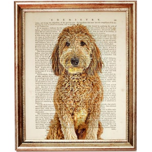 Goldendoodle Dog Wall Art, Dog Print, Recycled Dictionary Art Print, Goldendoodle Art, Goldendoodle Poster Book Artwork