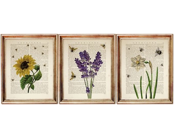 Set of 3 Flower Poster, Botanical Bumble Bee Dictionary Art Prints