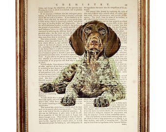 Stampa artistica con dizionario sul cane da caccia tedesco a pelo corto, decorazione da parete per cani 8x10, regalo per il proprietario di cane, arazzo da parete per cameretta GSP