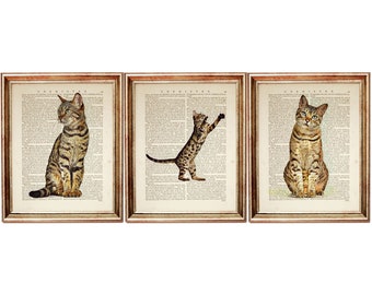 Set of 3 Prints, Bengal Cat Art Print, Cat Dictionary Art Pages, Cat Wall Art, Cat Artwork, Cat Print, Cat Nursery Decor