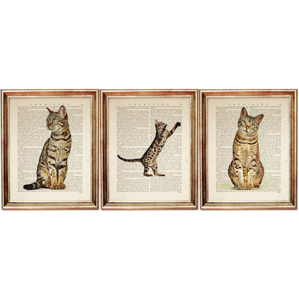 Set of 3 Prints, Bengal Cat Art Print, Cat Dictionary Art Pages, Cat Wall Art, Cat Artwork, Cat Print, Cat Nursery Decor