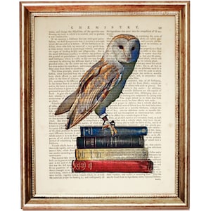 Owl Print, Owl with Books Dictionary Art Print, Owl Wall Art, Owl Wall Decor, Owl Wall Hanging, Book Lover Gift