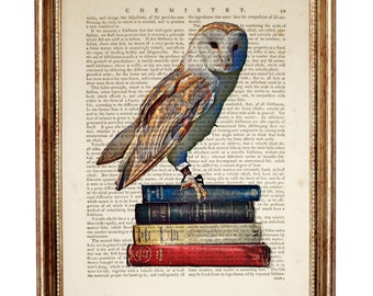 Owl Print, Owl with Books Dictionary Art Print, Owl Wall Art, Owl Wall Decor, Owl Wall Hanging, Book Lover Gift