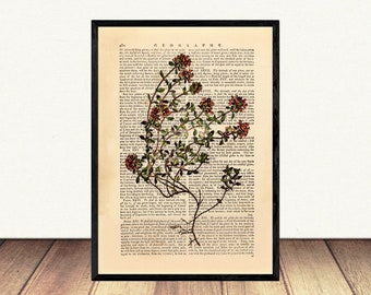Botanical Wall Art, Herbal Poster, Wild Flower Wall Decor, Herb Wall Hanging, Flower Dictionary Art Print, Greenery