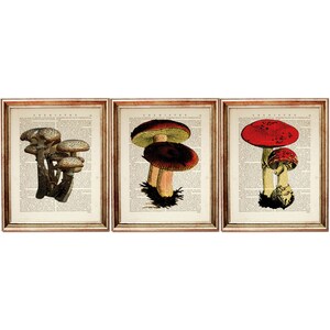 Set of 3 Mushroom Art Prints, Unique Mushroom Wall Decor, Dictionary Art Prints for a Whimsical Touch, Fungi Collection