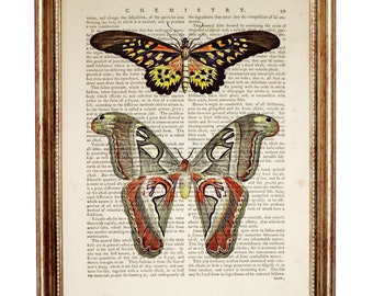 Butterflies Dictionary Art Print, Vintage Insect Wall Decor, Botanical Illustration Poster, Rustic Colorful Nature Artwork
