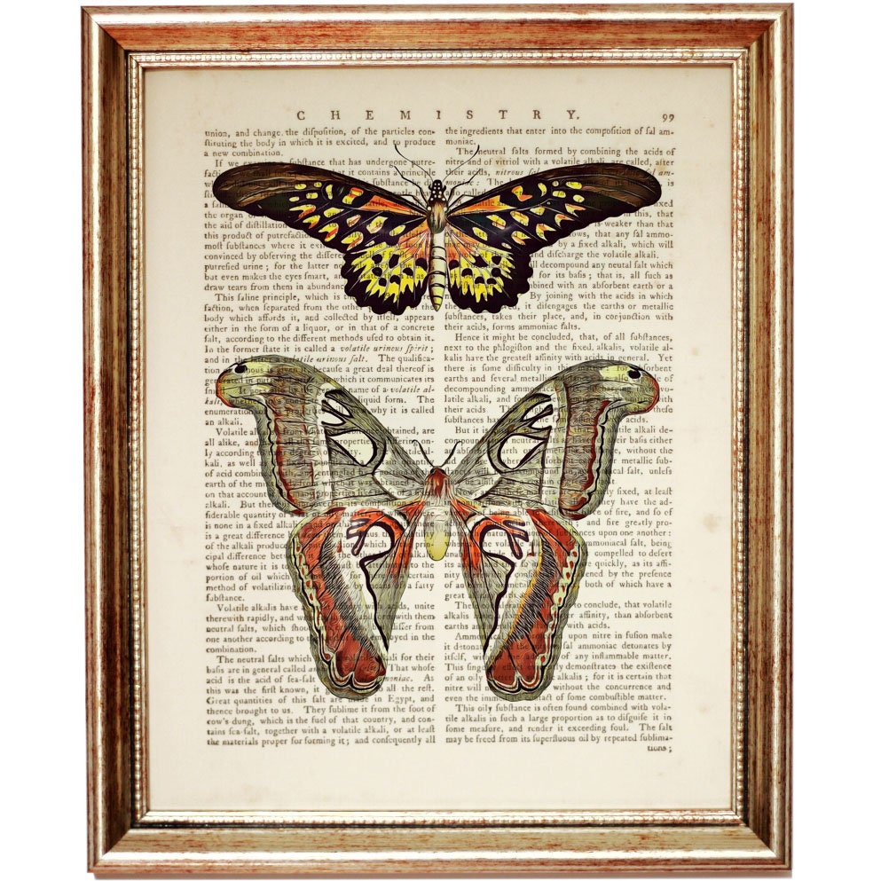 Butterflies Dictionary Art Print, Vintage Insect Wall Decor, Botanical ...