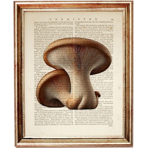 König Austernpilz Print, Wörterbuch Kunstdruck, Rustikales Wohndekor, Botanisches Poster, Naturliebhaber Kunst, Bauernhaus Wandkunst