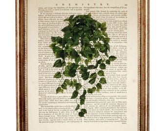 Stampa artistica su pagina di libro con edera inglese, arte botanica vintage da parete, regalo per amanti delle piante, poster dizionario del verde, arredamento cottagecore per il soggiorno