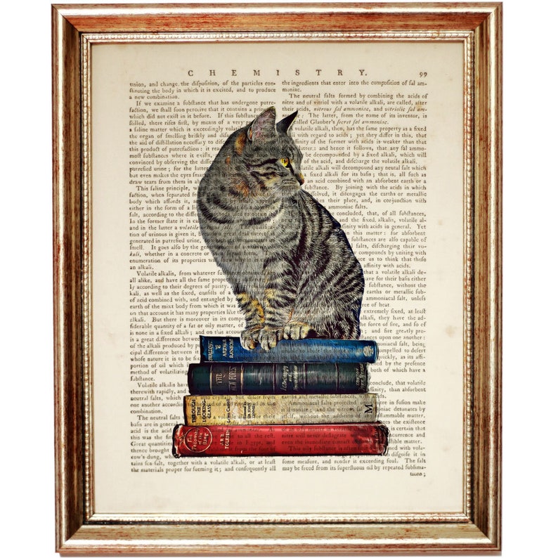 May include: A gray tabby cat sits on a stack of vintage books with the text "CHEMISTRY" visible on the page. The cat is looking to the right of the image.