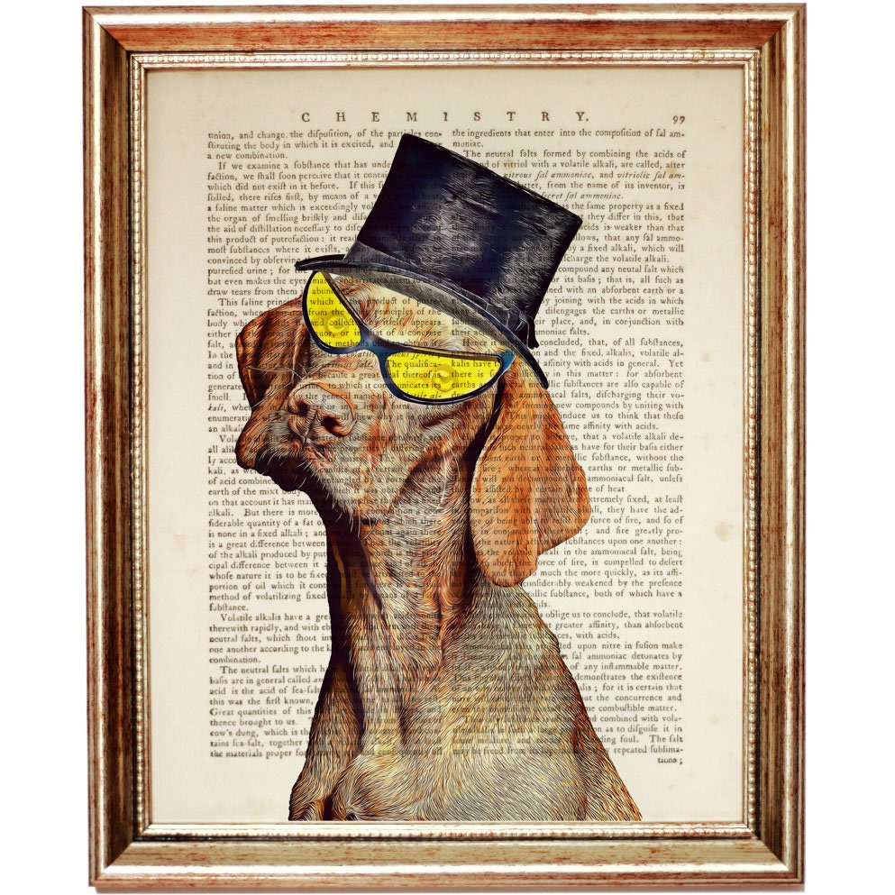 Set of 8 Prints Animal Prints For Nursery Funny Animal Wall Etsy