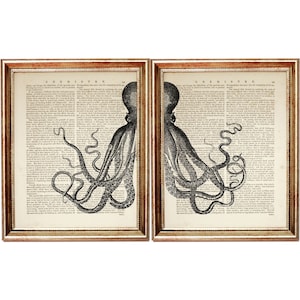 Juego de 2 láminas artísticas de diccionario Octopus Duo, decoración de pared vintage de vida marina, juego de 2 obras de arte costeras, temática náutica oceánica