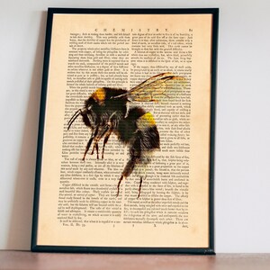Bee Wall Art, Honey Bee Poster Room Wall Decor, Bumble Bee Dictionary Art Print, Insect Artwork