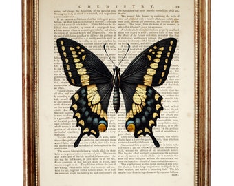 Giant Swallowtail Butterfly Art Print on Vintage Dictionary Page, Black and Yellow Butterfly Wall Decor, Nature Lover Gift