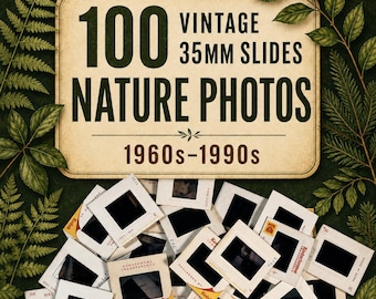 Vintage 35mm Slides Nature Lot – 100 Color Film Photos 1960s-1990s Landscape Ephemera for Art, Crafts, Journals