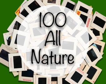 All Nature - Lot of 100 35mm Vintage Color Photo Slides 1960’s - 1990’s Film, Photography, Photos, Nature, Amateur, Landscape