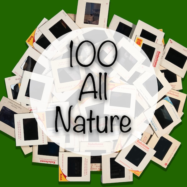 All Nature - Lot of 100 35mm Vintage Color Photo Slides 1960’s - 1990’s Film, Photography, Photos, Nature, Amateur, Landscape