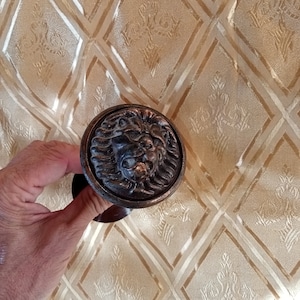 Könnte beinhalten: Ein bronzener Türklopfer in Form eines Löwenkopfes mit aufwendigen Details. Der Klopfer ist auf einem runden Sockel montiert und hat einen Ring zum Ziehen.