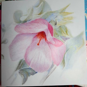 Pink flower - blank greetings card