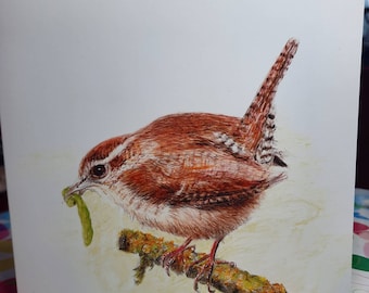 May include: A detailed illustration of a small brown bird with a long, striped tail, perched on a mossy branch. The bird is holding a green worm in its beak. The artwork is set against a soft, off-white background.