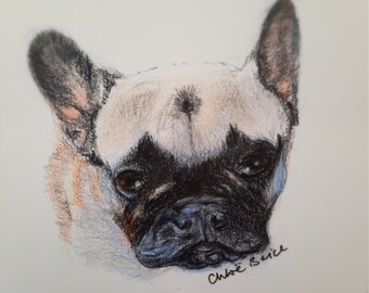 French Bulldog Card