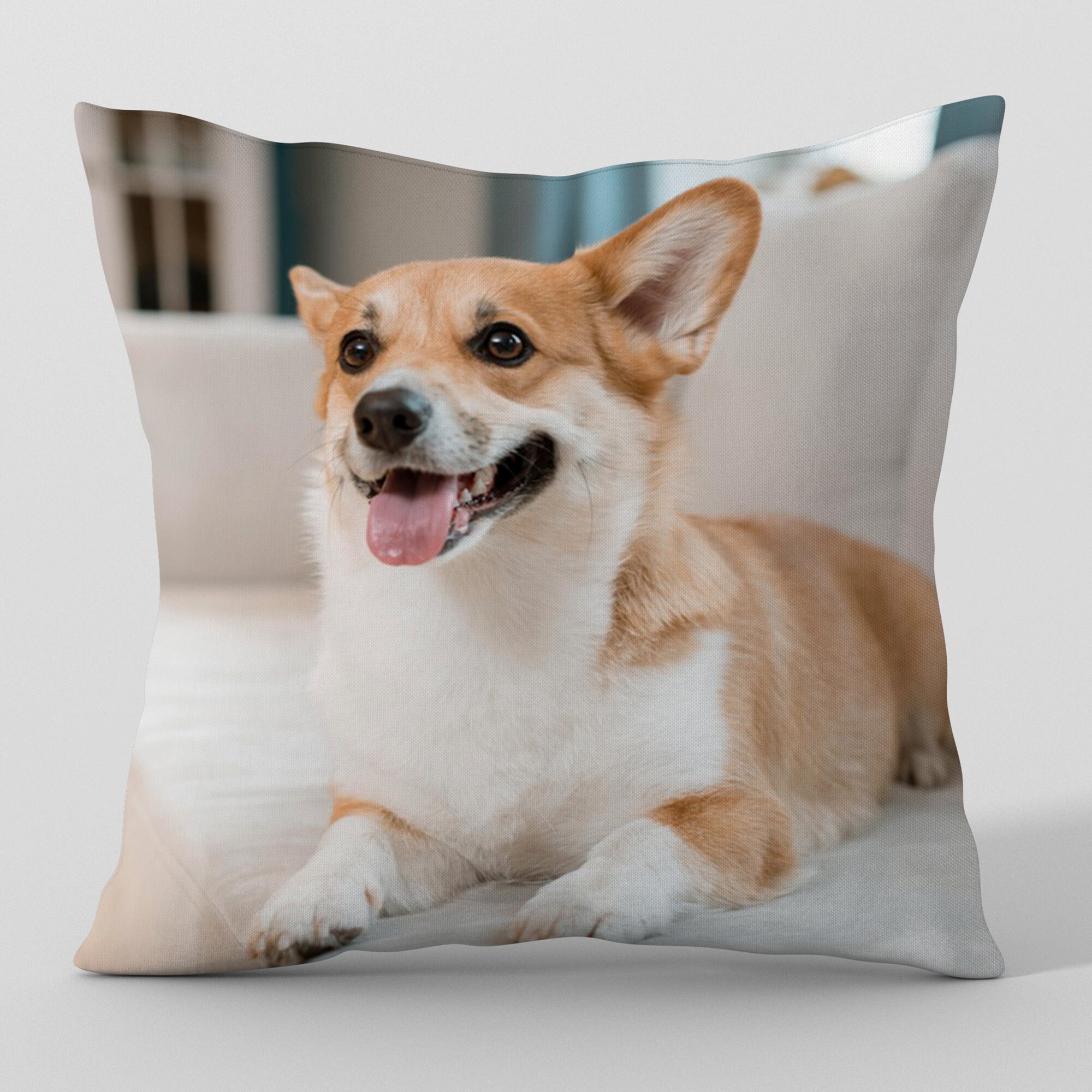 etsy pet pillow