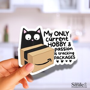 May include: A die-cut sticker featuring a black cat with wide eyes peeking over a brown cardboard shipping box with a black tape strip and a curved line. The text reads: My ONLY current HOBBY & passion is tracking PACKAGES with four small black hearts.