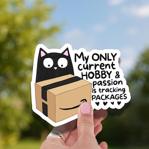 May include: A die-cut sticker featuring a black cat peeking over a brown cardboard shipping box with a black tape design. The text reads: My ONLY current HOBBY & passion is tracking PACKAGES, followed by four small black hearts at the bottom.