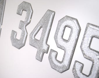 Silver Metallic 3D Raised Boat Registration Number decals | Set of 2 | 3" tall minimum