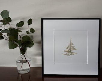 Real pressed plant Framed wall art Botanical art Preserved plants Home decor Herbarium Minimalistic Dried leaf Fern Gift for nature lovers