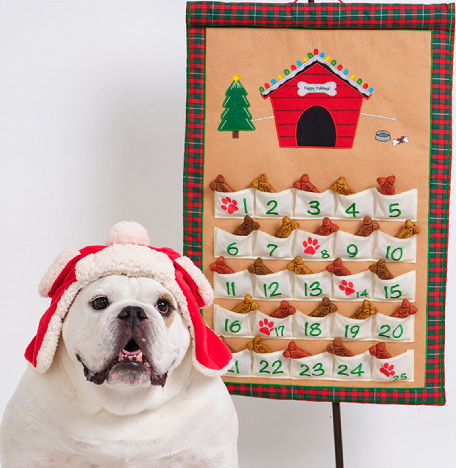 Personalized Dog Advent Calendar Pet Christmas Countdown Etsy