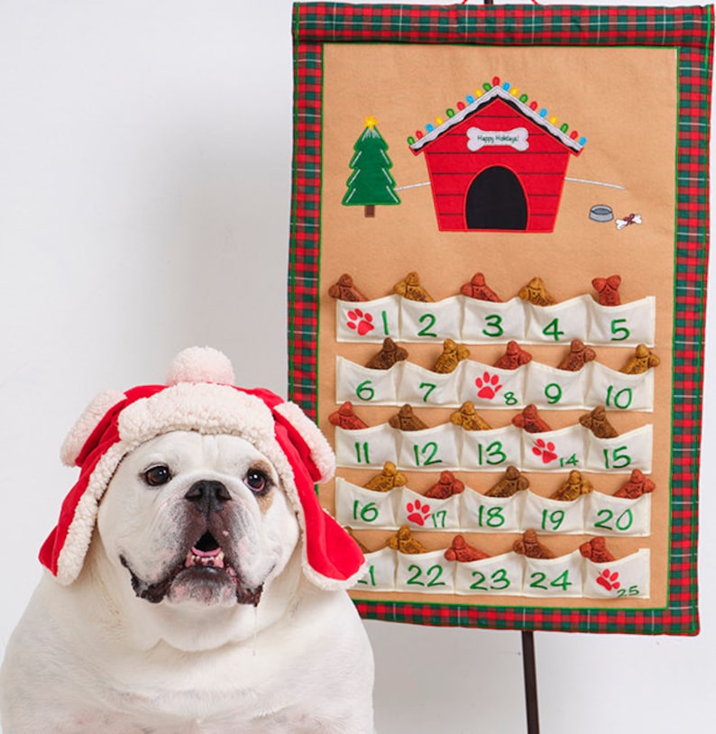 Personalized Dog Advent Calendar Pet Christmas Countdown Etsy