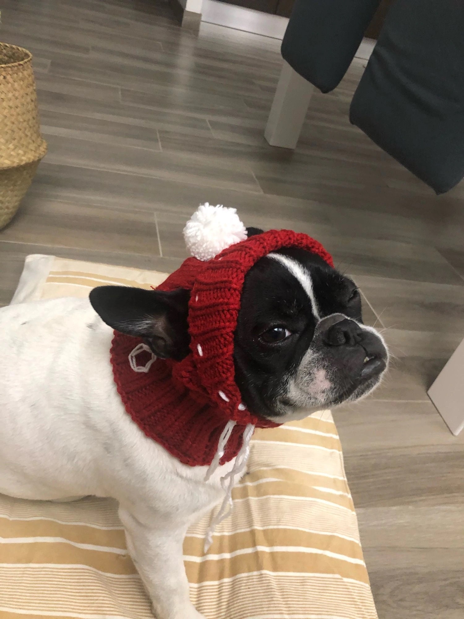 Winter Dog Cap Christmas Pet Hats Dog Accessories Woolen Puppy Etsy