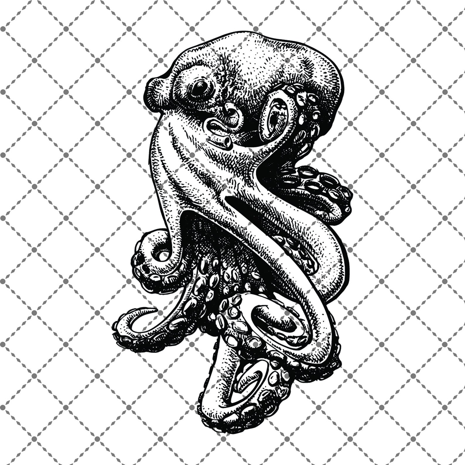 Octopus svg dxf png Octopus bundle Octopus cricut Octopus ...