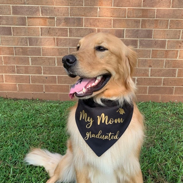 My Mom Graduated Dog Bandana, My Dad Graduated Dog Bandana, Graduation Gift, Graduation Pet Bandana, Graduation Photos