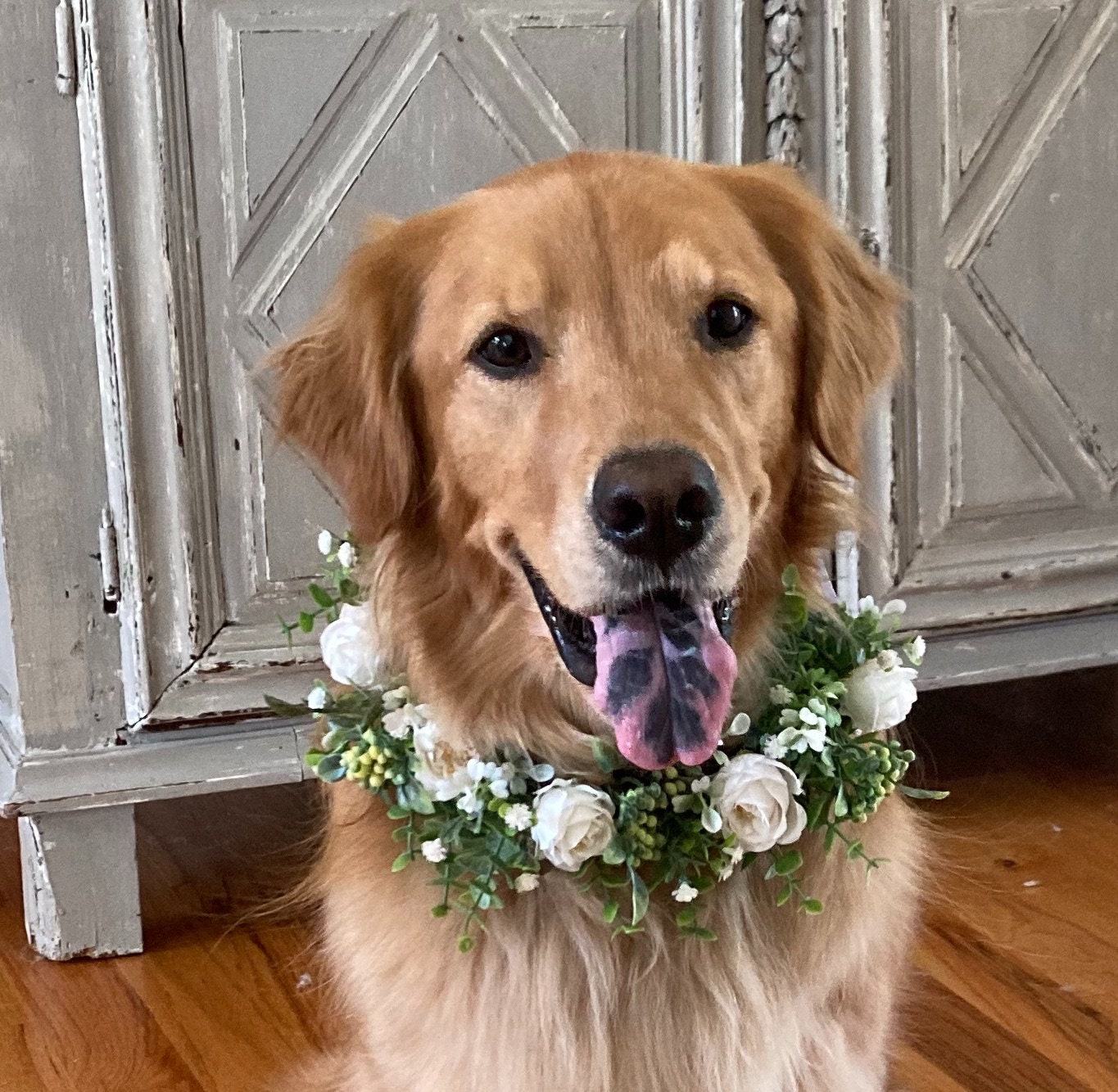 Dog Flower Girl Etsy
