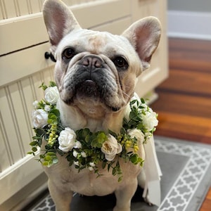 White Roses and Eucalyptus Dog Wedding Wreath, Dog Floral Wedding Wreath, Engagement Announcement Flower Wreath