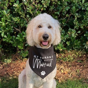 My Humans are Getting Married Bandana, Tie on Bandana Dog Bandana, Engagement Bandana, Engagement Announcement Dog Bandana