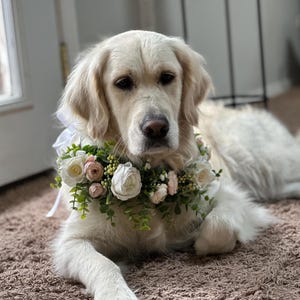 Pink and White Roses with Eucalyptus Dog Wedding Wreath,  Wedding Dog Floral Wedding Wreath, Engagement Announcement Wreath