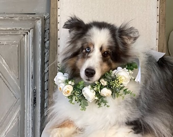 White and Ivory Roses, Eucalyptus Dog Wedding Wreath Wedding Flower Wreath, Dog Floral Wedding Wreath, Engagement Announcement Flower Wreath