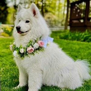 Dog Wedding Flower Wreath, Engagement Announcement Flower Wreath, White with Pink Roses and Eucalyptus Dog Wedding Wreath