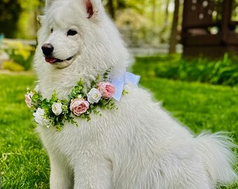 Dog Wedding Flower Wreath, Engagement Announcement Flower Wreath, White with Pink Roses and Eucalyptus Dog Wedding Wreath