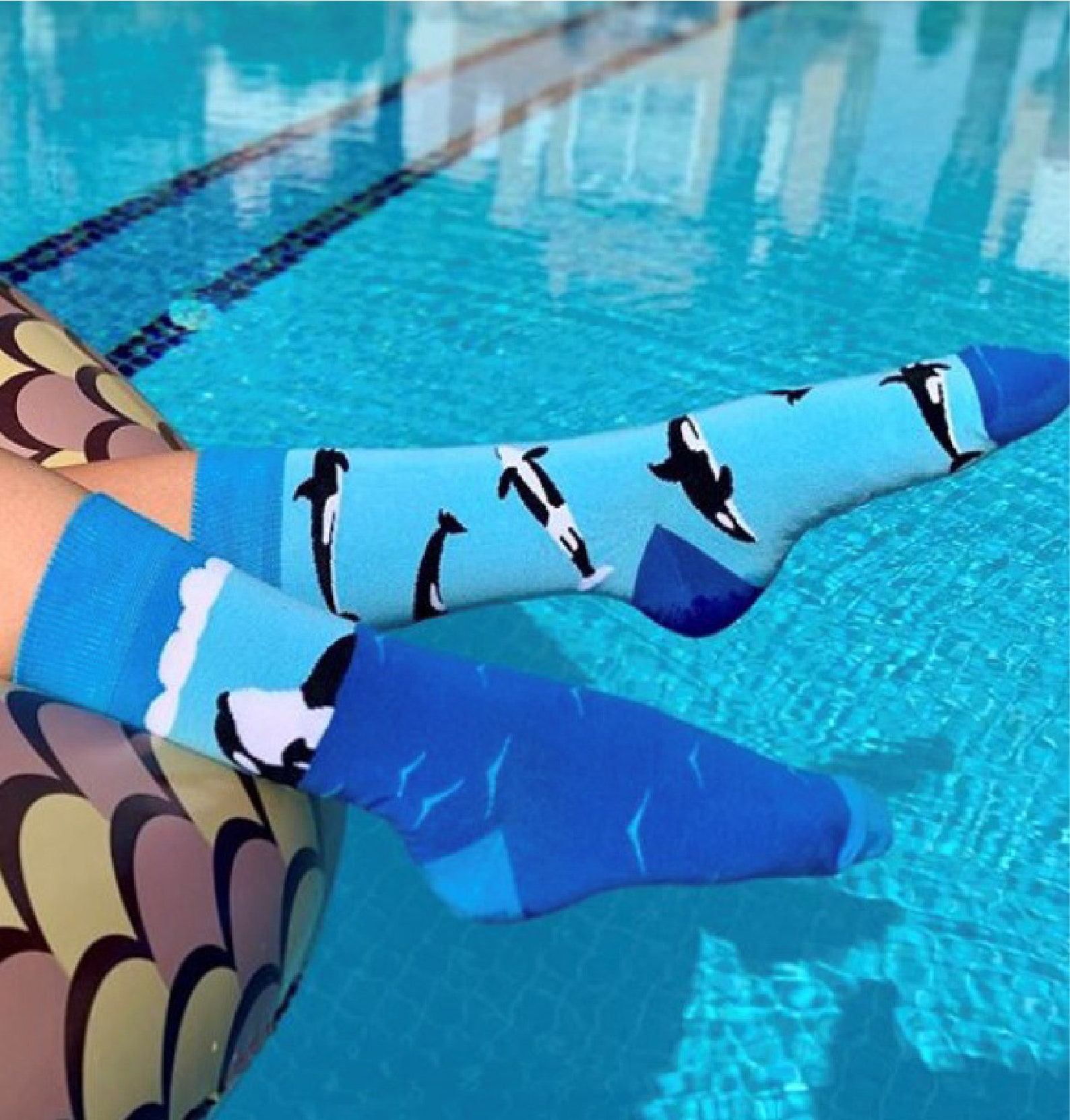 Orca Socks Happy Orca Socks Mens Socks Womans Socks Etsy