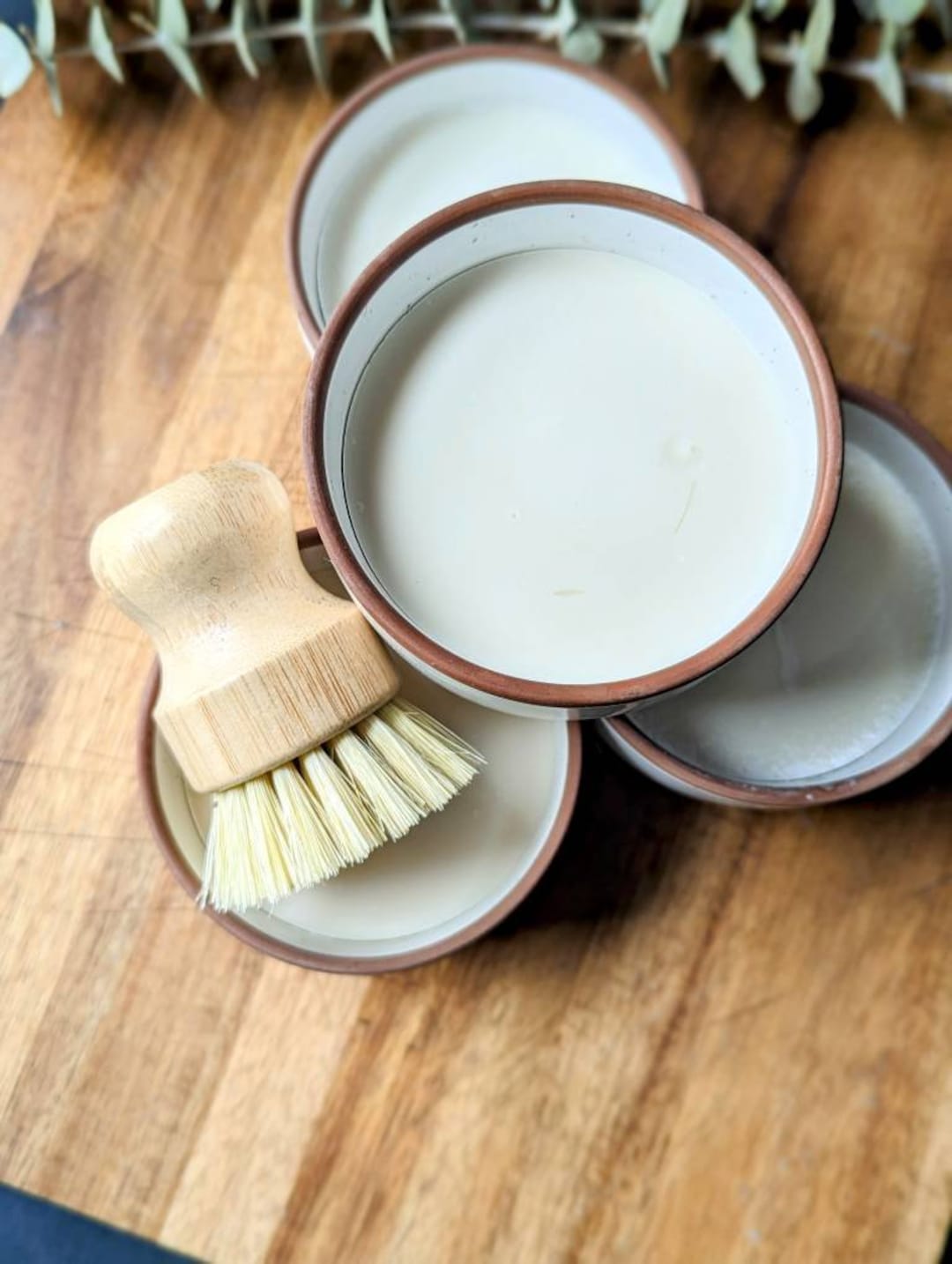 Zero Waste Solid Dish Soap Eco Friendly Essential Oil Soap plant