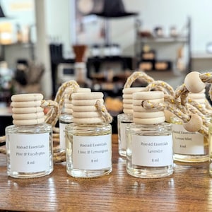 Hanging Car Diffusers| Perfume Pendent| Car Freshies| Essential Oil Diffuser| Natural Car Refresher| Aromatherapy Car Diffuser