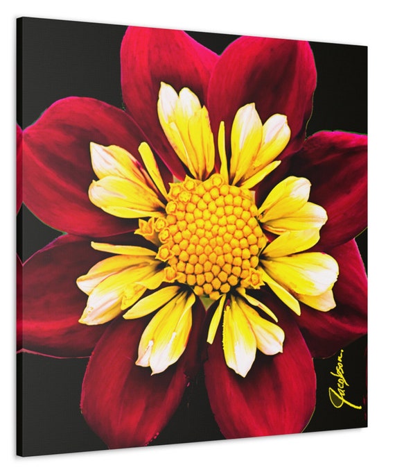 Dahlia Red Canvas Art , ready to hang square canvas art print, Dahlia flower art print, ready to use in groups for trendy wall art gallery