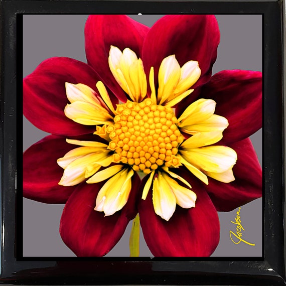 Dahlia Flower Red Jewelry Box, Wood Keepsake felt lined trinket Box, glossy ceramic tile lid, hinged lid protects stored trinkets and more