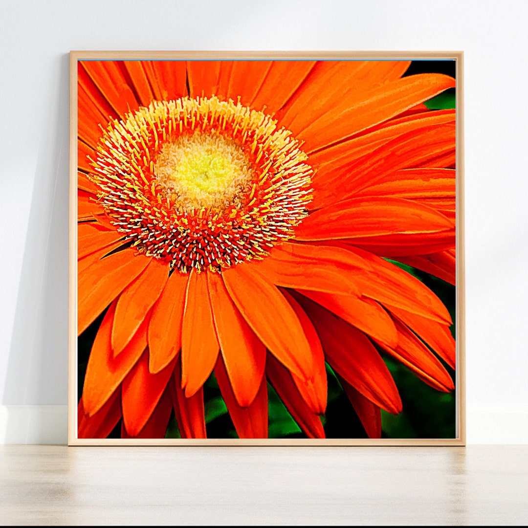 Gerbera Daisy Wall Art Print, Orange Gerbera Daisy Painting, Wall ...