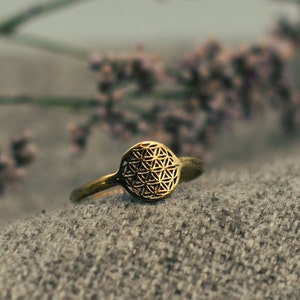 Könnte beinhalten: Ein goldfarbener Ring mit einem kreisförmigen, durchbrochenen Design mit einem geometrischen Muster. Der Ring ist vor einem weichen, grauen Hintergrund mit verschwommenen floralen Elementen platziert. Der Ring hat ein schmales Band.